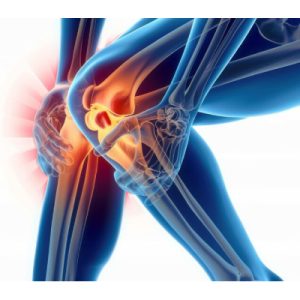 Bones Joint and Muscle Care